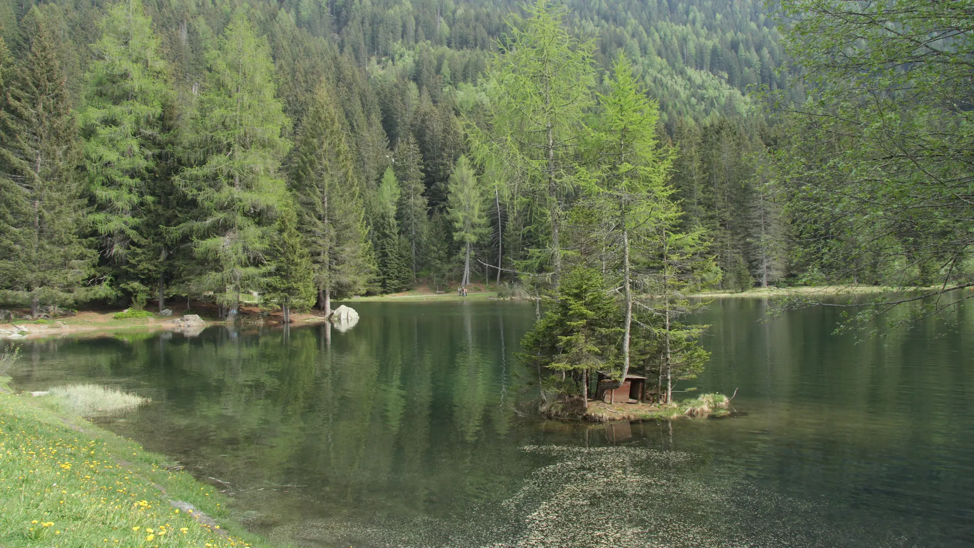 Lago dei Caprioli, Pellizzano in Val di Sole